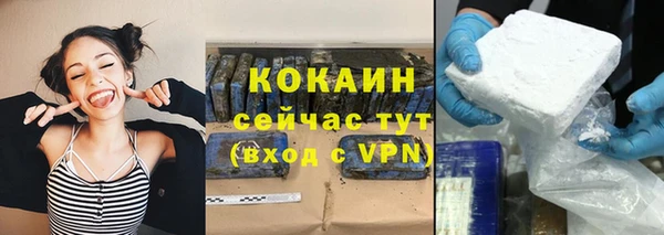 PSILOCYBIN Ладушкин