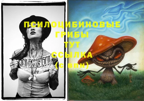 марки lsd Лабытнанги