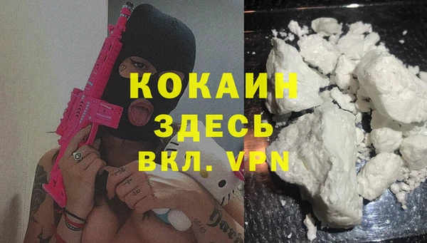 PSILOCYBIN Ладушкин
