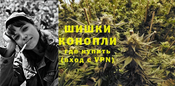PSILOCYBIN Ладушкин