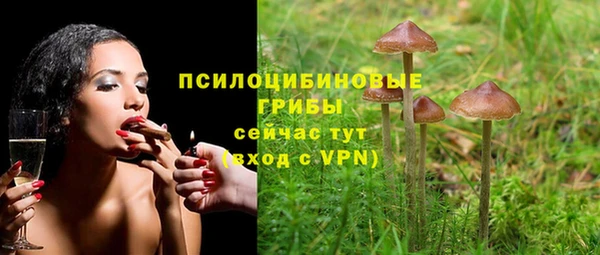 марки lsd Лабытнанги